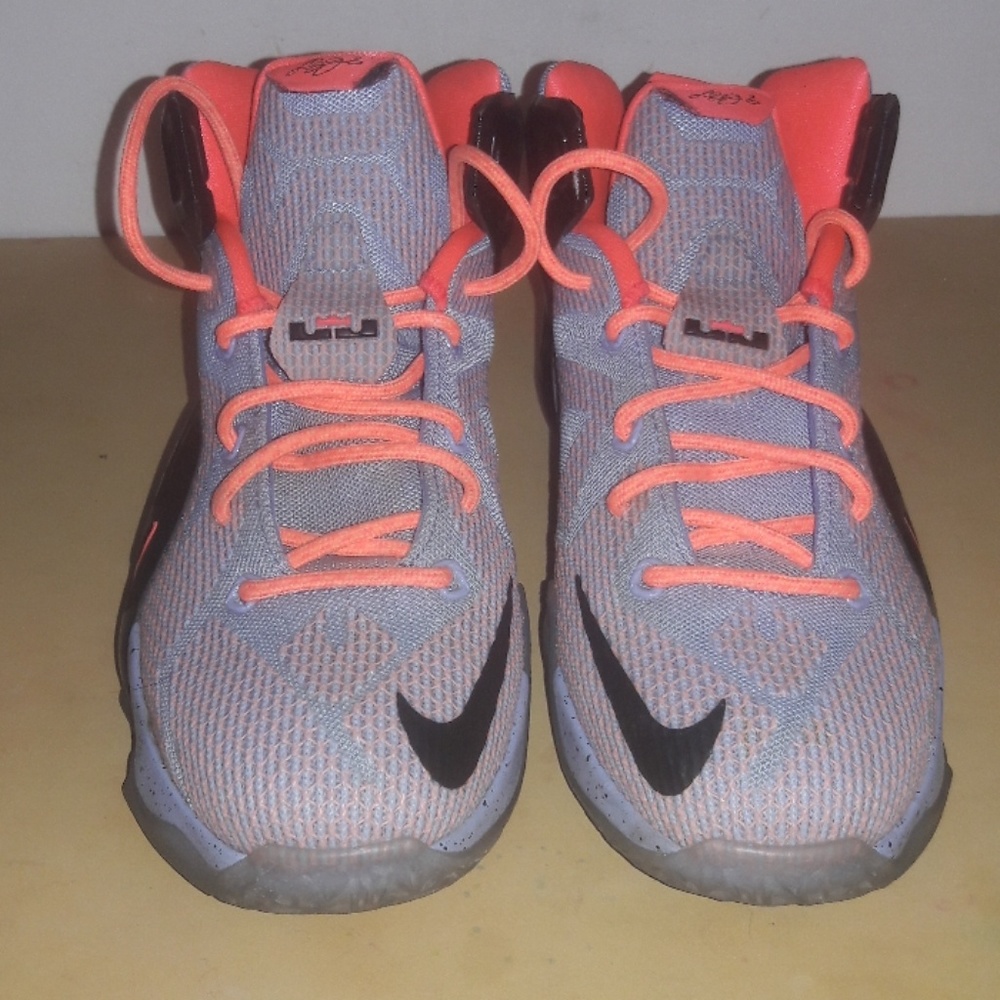Easter/Labron James Nike Shoes